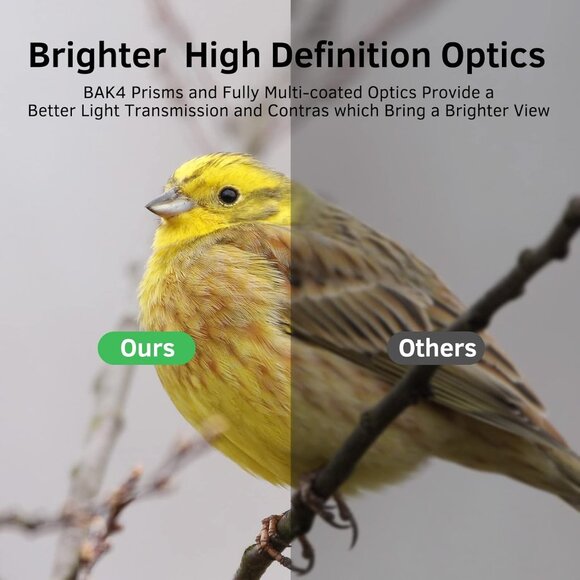 USCAMEL 20x50 Binoculars – BAK4, FMC, Waterproof - Picture 6 of 10